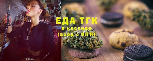 хмурый Алексин