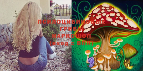 хмурый Алексин