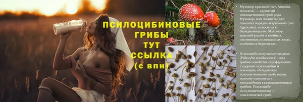 индика Алзамай