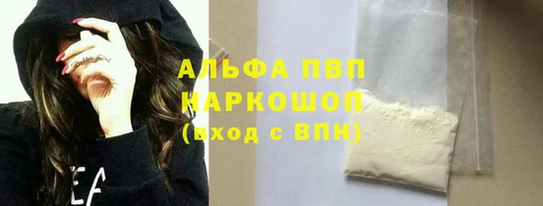 хмурый Алексин