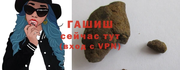 хмурый Алексин