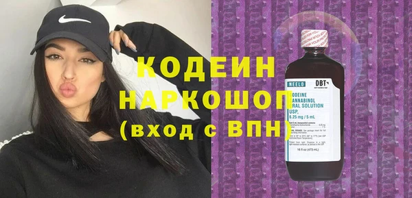 хмурый Алексин