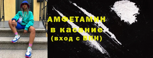 хмурый Алексин
