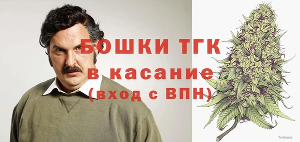 хмурый Алексин