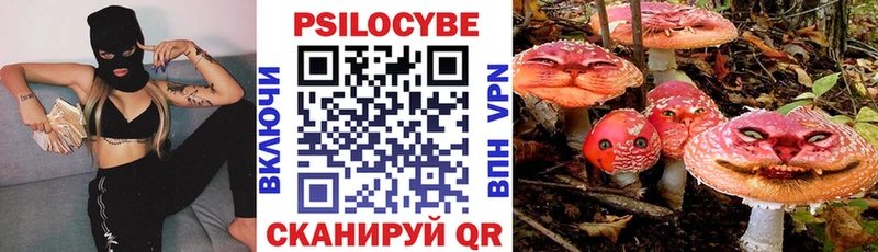 Псилоцибиновые грибы Psilocybine cubensis  купить наркоту  кракен ссылки  Палласовка 